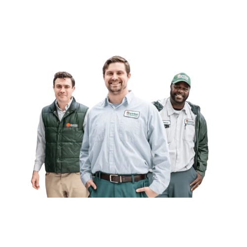 Local pest control technician